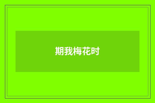 期我梅花时
