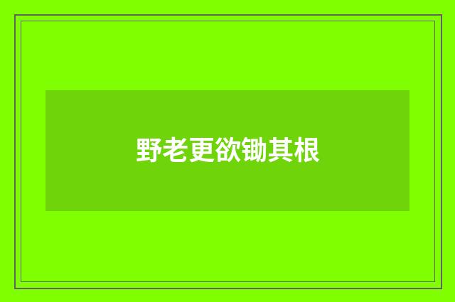 野老更欲锄其根