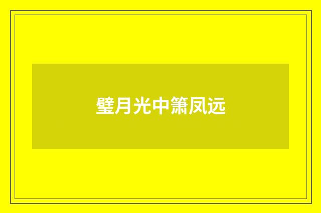 璧月光中箫凤远
