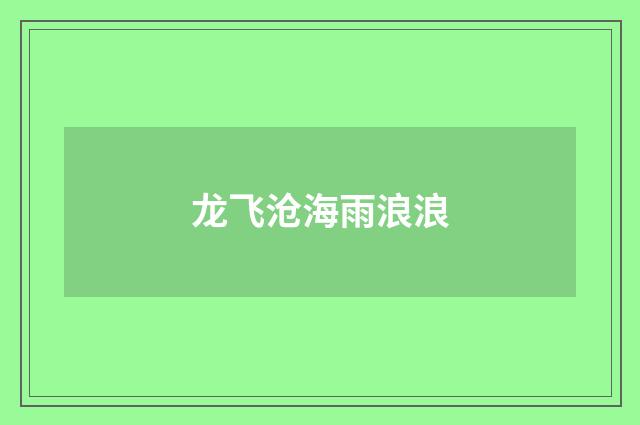 龙飞沧海雨浪浪