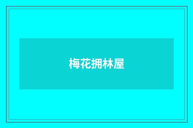 梅花拥林屋