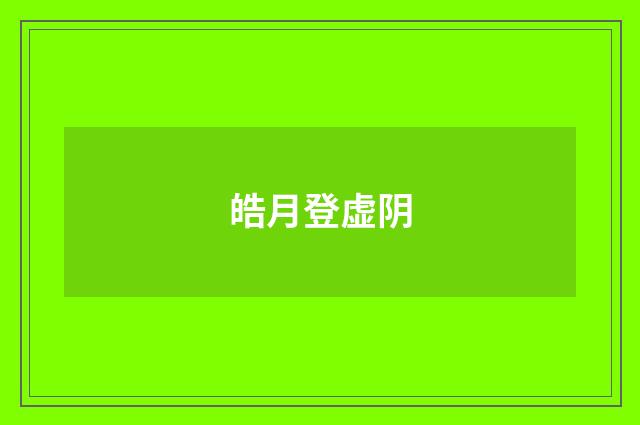皓月登虚阴