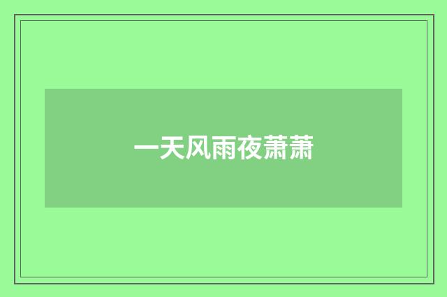 一天风雨夜萧萧