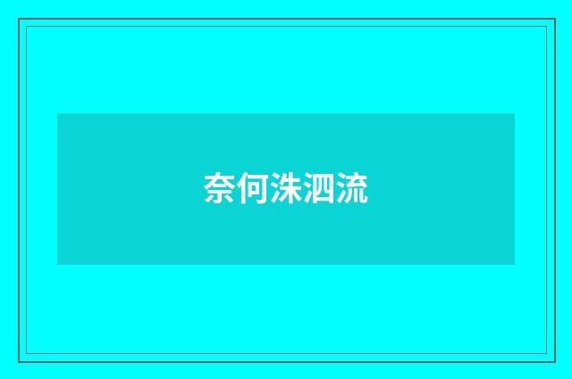 奈何洙泗流