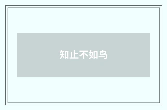 知止不如鸟