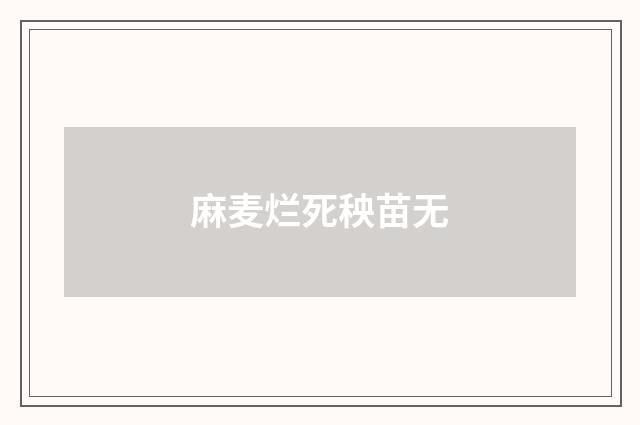 麻麦烂死秧苗无