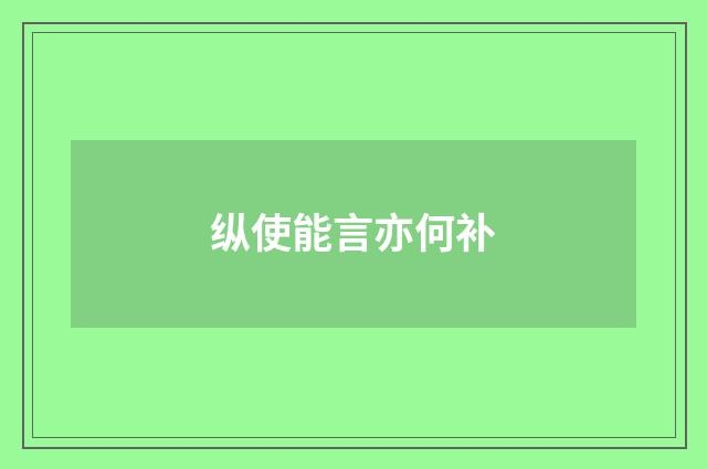 纵使能言亦何补