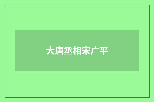 大唐丞相宋广平