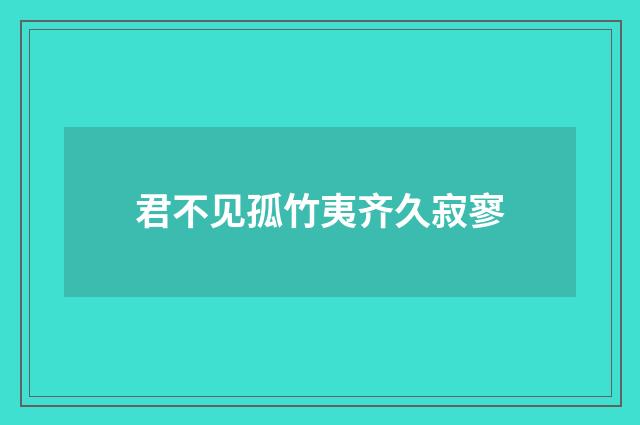君不见孤竹夷齐久寂寥