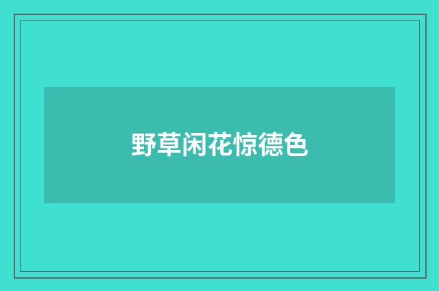 野草闲花惊德色