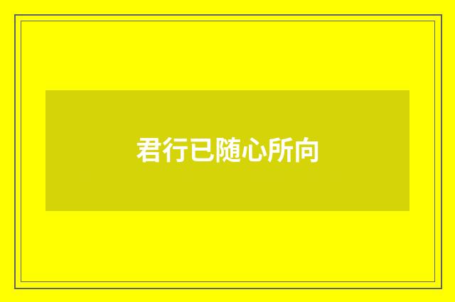 君行已随心所向