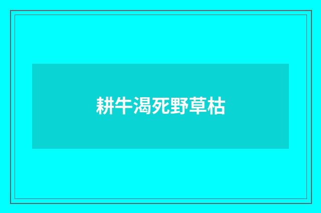 耕牛渴死野草枯
