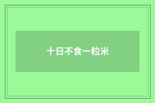 十日不食一粒米