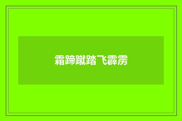 霜蹄蹴踏飞霹雳