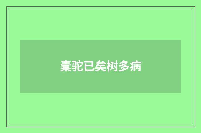 橐驼已矣树多病