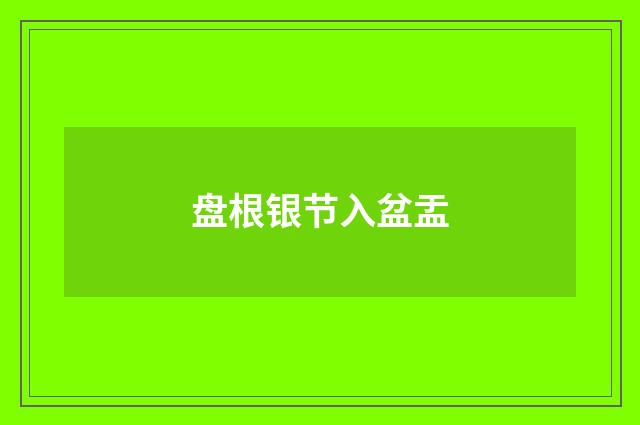 盘根银节入盆盂