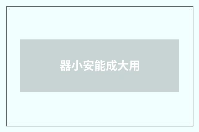 器小安能成大用