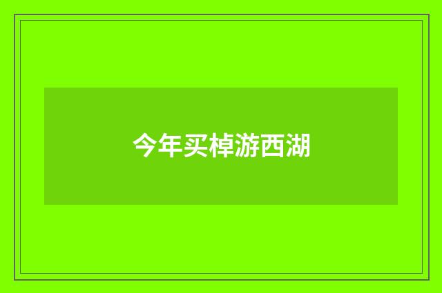 今年买棹游西湖