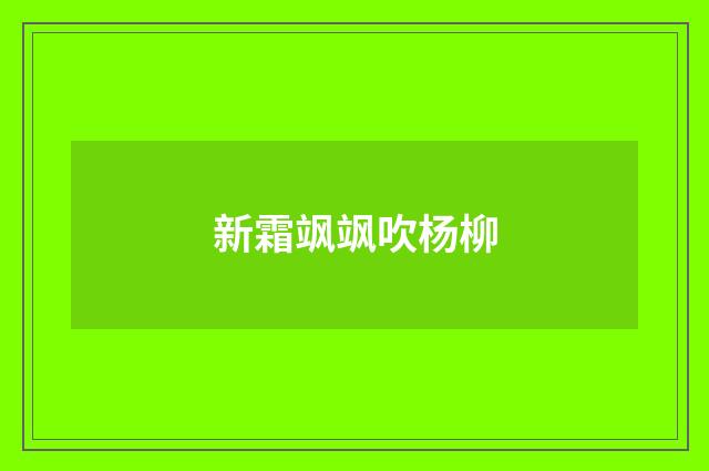 新霜飒飒吹杨柳