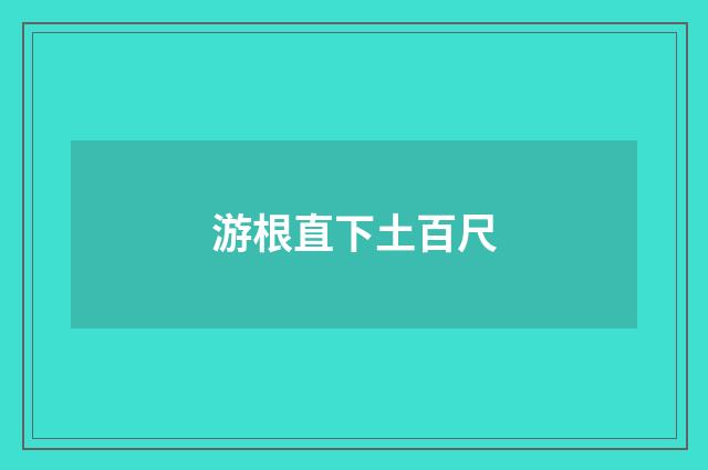 游根直下土百尺