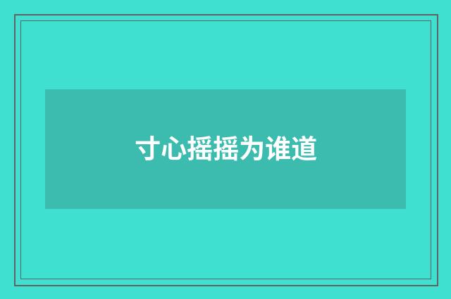 寸心摇摇为谁道