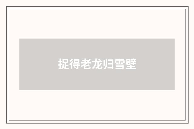 捉得老龙归雪壁