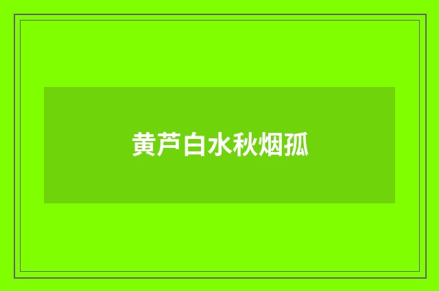 黄芦白水秋烟孤
