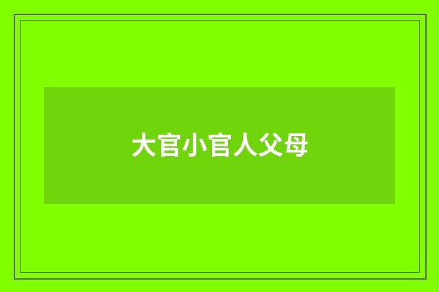大官小官人父母
