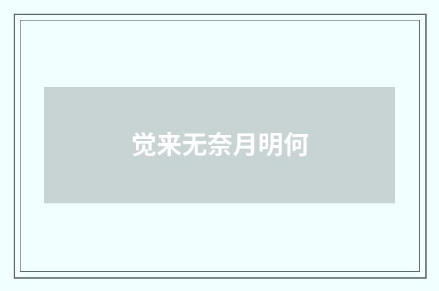 觉来无奈月明何