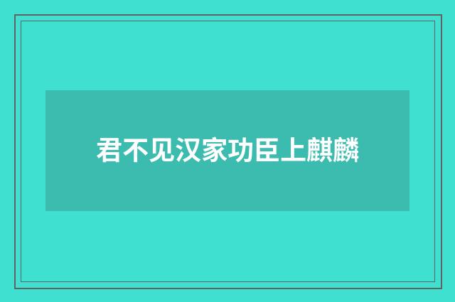 君不见汉家功臣上麒麟