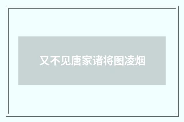 又不见唐家诸将图凌烟