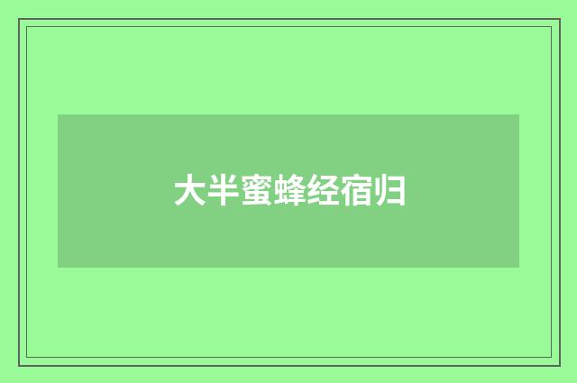 大半蜜蜂经宿归