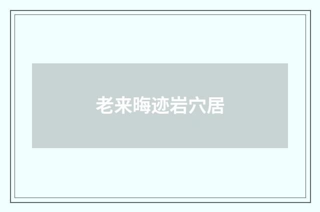 老来晦迹岩穴居