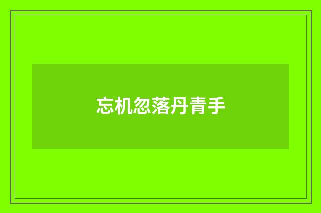 忘机忽落丹青手