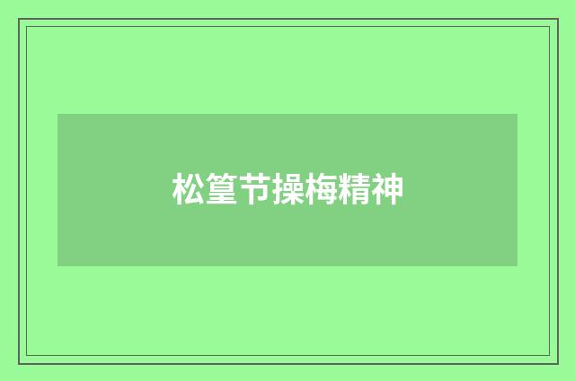 松篁节操梅精神