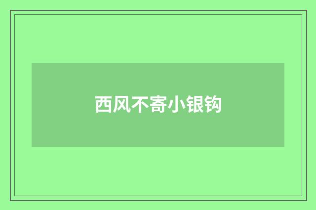 西风不寄小银钩