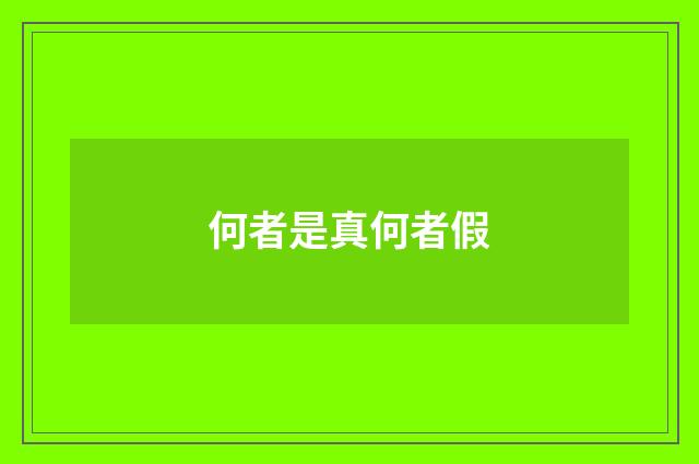 何者是真何者假