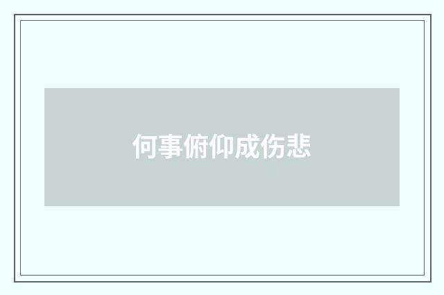 何事俯仰成伤悲
