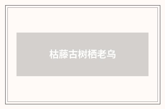 枯藤古树栖老乌