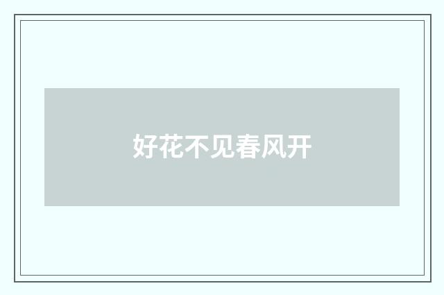好花不见春风开