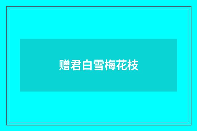 赠君白雪梅花枝