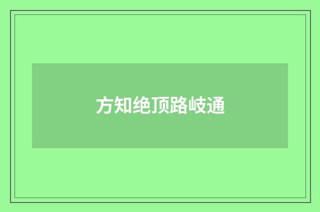 方知绝顶路岐通