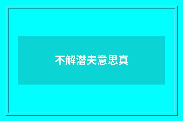 不解潜夫意思真