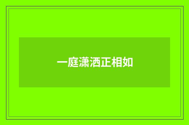 一庭潇洒正相如