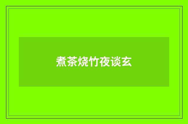 煮茶烧竹夜谈玄