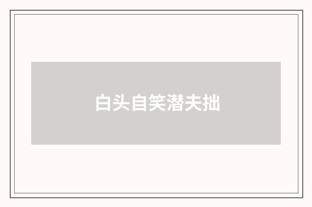 白头自笑潜夫拙