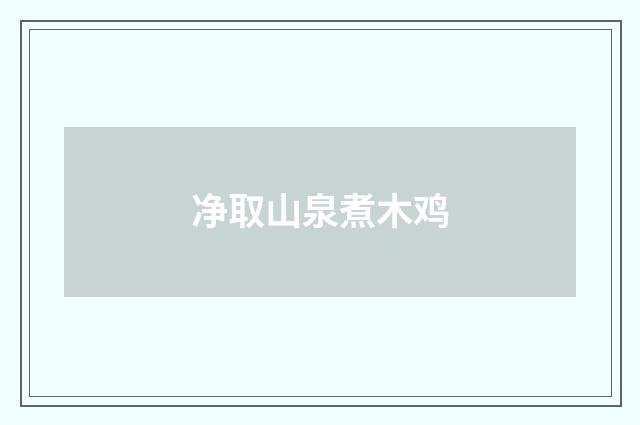 净取山泉煮木鸡