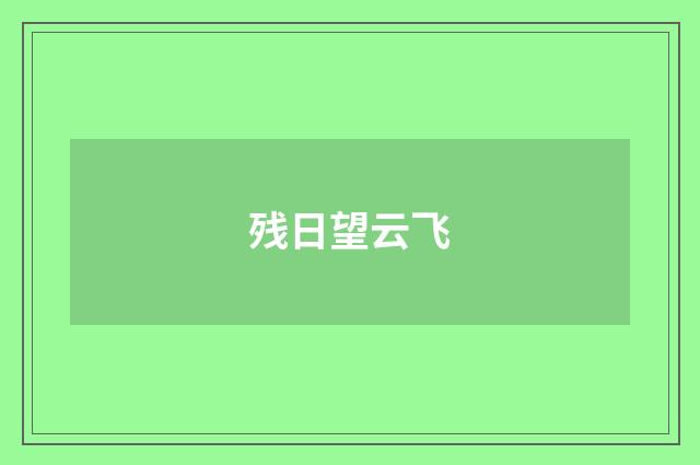 残日望云飞