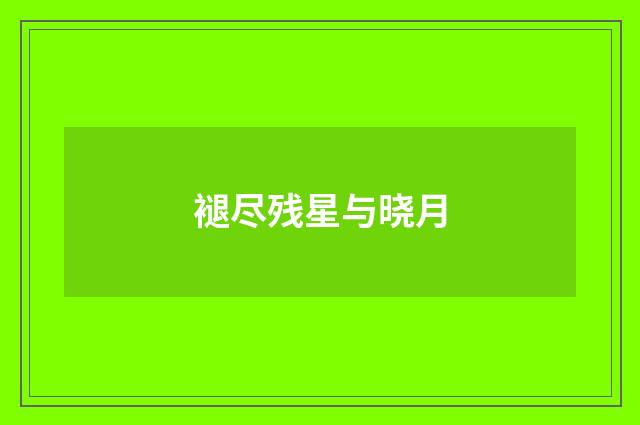 褪尽残星与晓月