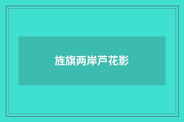 旌旗两岸芦花影